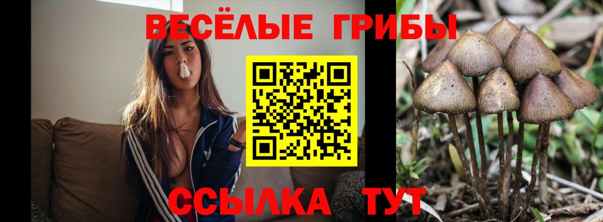 Псилоцибиновые грибы ЛСД Волгоград